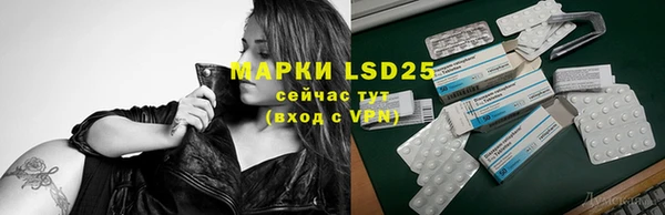 молекула духа Магадан