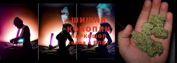 крисы Мегион