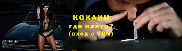 прущие грибы Магас