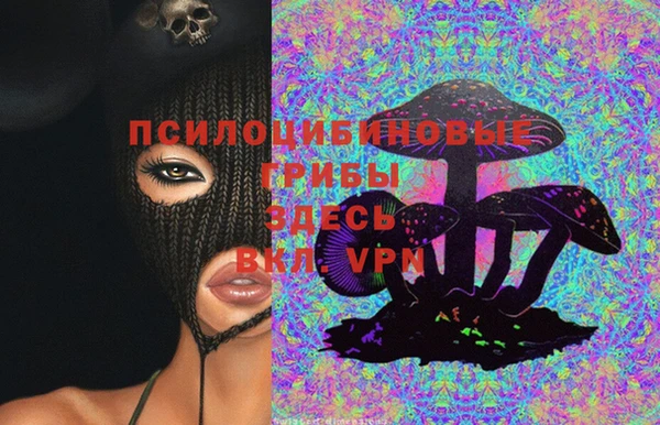 МДМА Медвежьегорск