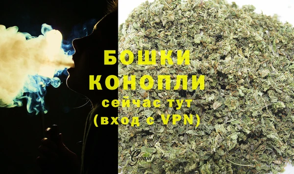 молекула духа Магадан