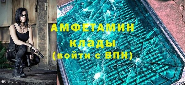 крисы Мегион
