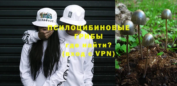 МДМА Медвежьегорск
