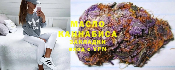 крисы Мегион