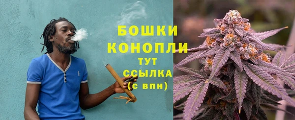 прущие грибы Магас