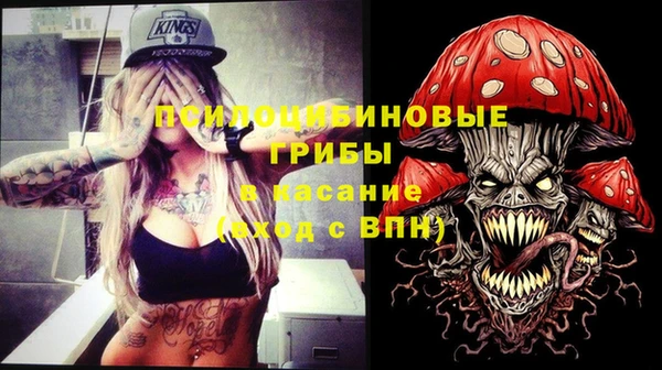 крисы Мегион