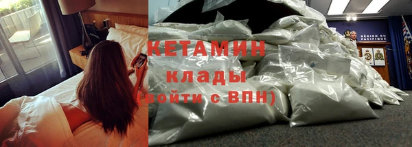 прущие грибы Магас