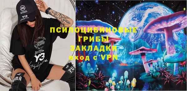 крисы Медногорск
